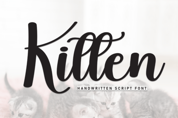 A Designer's Review of the Kitten Script Font