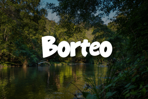 Borteo: The Script Font That Makes Campaigns Feel Personal