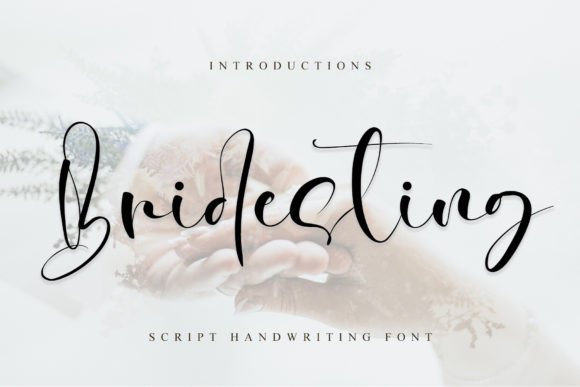 Bridesting: The Modern Handwritten Font for Fresh Branding