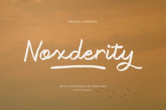 Finding Noxderity: A Font for Modern Web Brands