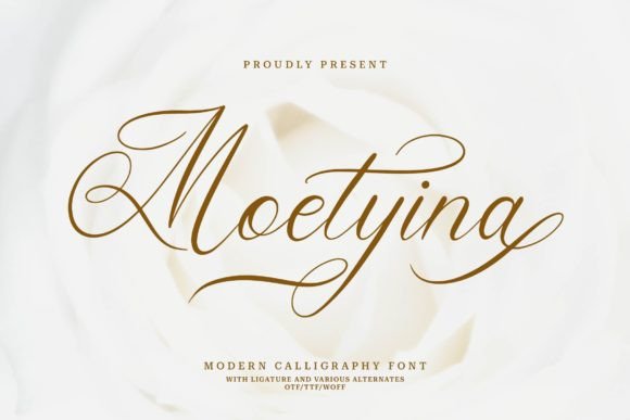 Moetyina: A Practical Font for Consistent Branding