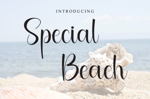 Using Special Beach Font for Your Online Brand Identity